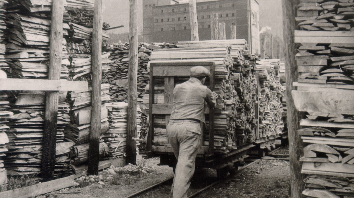 Die Holzfabriken benötigen eine kontinuierliche Versorgung mit Holz.